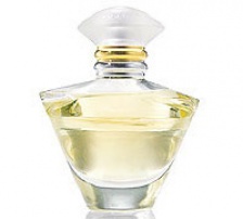 Парфюмерная вода «Джорни» Journey® Eau de Parfume, 50 ml Путешествие, полное новых открытий Легкий, цветочный аромат. Верхние ноты — ароматы мяты, водяного кресса, водяной лилии; средние ноты — дикая фрезия, английский пион и флоксы; нижние ноты — запахи английской розы, абрикосового мускуса и звездчатой полыни. 